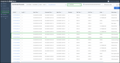 Call Detail Records report - limited access to Call Legs data view